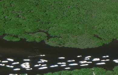 Imagem 8: 160 HECTARES EM CARNEIROS