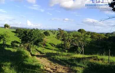 Imagem 3: Itapé - Fazenda -. 40m² de Área