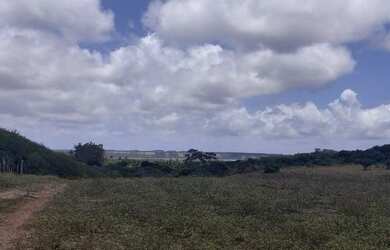 Imagem 12: Fazenda em Manimbu Tibau do Sul - Tibau do Sul