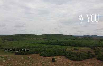 Imagem 5: Fazenda no Município do Peixe-Tocantins, toda formada em pastagem, com...