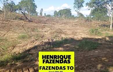 Imagem 7: Fazenda de 274 alqueires plana a 55 mil por alqueires no Tocantins