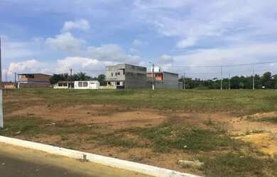 Imagem 8: Lote/Terreno para venda tem 200 metros quadrados em Nova Manaus