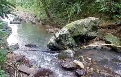 Imagem: A fazenda possui 100m² de Área e está localizado em Nova