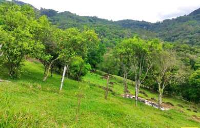 Imagem 12: Sítio / Chácara para Venda em Nova Petrópolis, Linha Riachuelo, 3 dormitórios,...