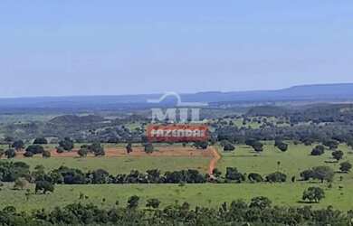 Imagem 4: Fazenda 403 Alqueires 1.950 hectares Aparecia do Rio Doce - GO