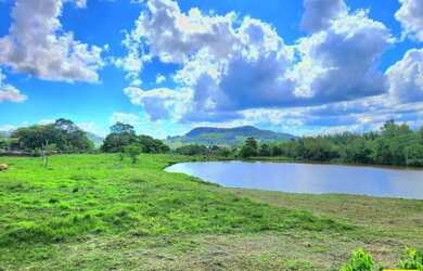 Imagem 10: Sítio / Chácara para Venda em Linha Nova, Linha Nova