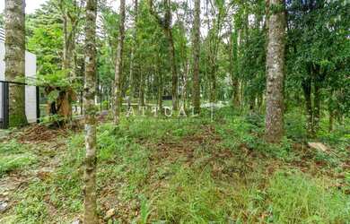 Imagem 6: TERRENO NO LAGO NEGRO. 540m² de Área