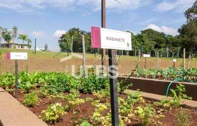 Imagem 11: Lote no Jardins França