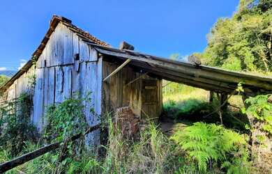 Imagem 5: Sítio / Chácara para Venda em Nova Petrópolis, Linha Riachuelo