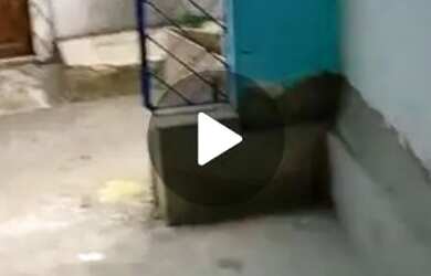 Imagem: A casa possui 1 Dormitório, 1 Banheiro, 1 Vaga na garagem