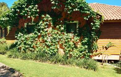 Imagem 3: SÍTIO NO BAIRRO ULISSES DE ABREU EM CANELA