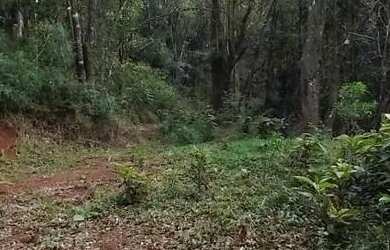 Imagem 4: Sítio / Chácara para Venda em Nova Petrópolis, Linha Imperial