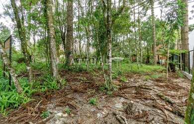 Imagem 4: TERRENO NO LAGO NEGRO. 540m² de Área