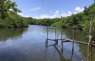 Imagem 7: 160 HECTARES EM CARNEIROS