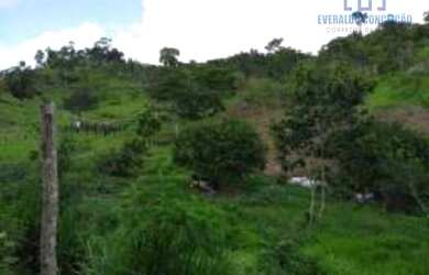 Imagem 8: Itapé - Fazenda -. 40m² de Área