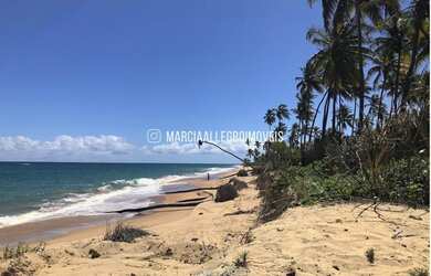 Imagem: O terreno está localizado em Busca Vida, Camaçari à venda