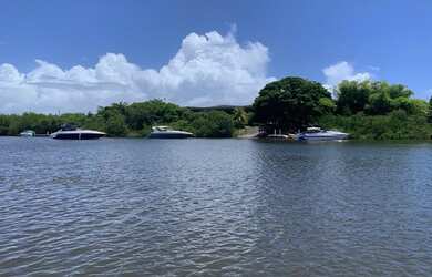 Imagem 3: 160 HECTARES EM CARNEIROS