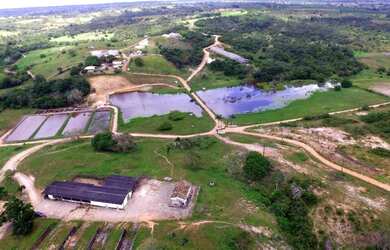 Imagem: A fazenda possui 1361250m² de Área, Piscina e Guarda roupa