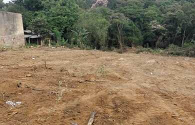 Imagem 10: Terreno limpo sem arvore com 2350 em Agronomia , 30 metros de frente por...