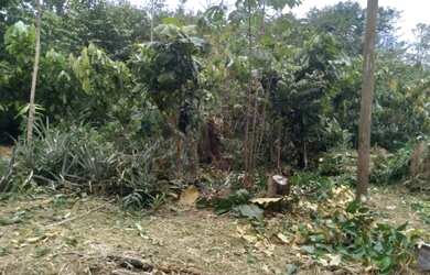 Imagem: O terreno está localizado em Jorge Teixeira, Manaus à venda
