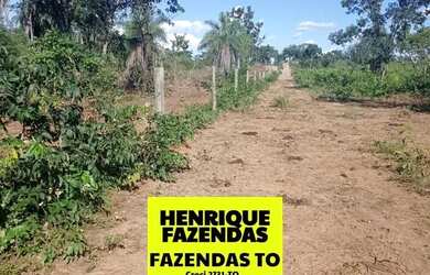 Imagem 9: Fazenda de 274 alqueires plana a 55 mil por alqueires no Tocantins