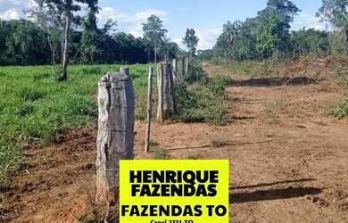 Imagem 8: Fazenda de 274 alqueires plana a 55 mil por alqueires no Tocantins