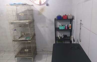 Imagem 2: Pet Shop. 35m² de Áreae2 Vagas na garagem