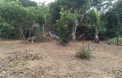 Imagem 8: Vende- se um terreno. 