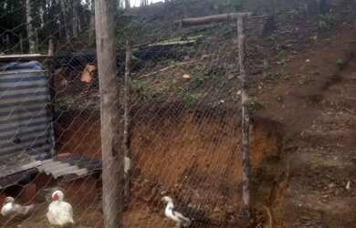 Imagem 9: Chacara prox a rodovia apenas 135 mil reais