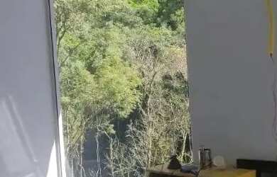 Imagem 12: Chácara a venda em Feliz