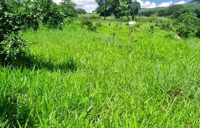 Imagem 10: Sitio 22 hectares valor 195.000