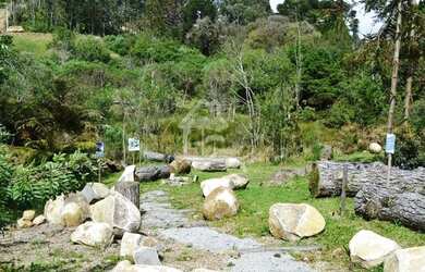 Imagem 14: TERRENO EM GRAMADO. 722m² de Área