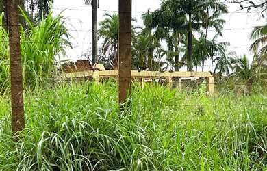 Imagem 1: Terreno à venda, 3000 m² por R$ 420.000,00 - Indusville - Londrina/PR