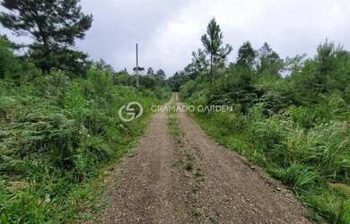 Imagem 5: SITIO NOVA PETROPOLIS. 4.400m² de Área