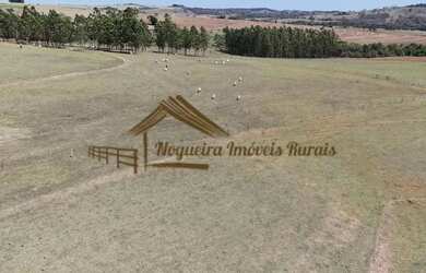 Imagem 4: Sitio de 12 alqueires com excelente estrutura