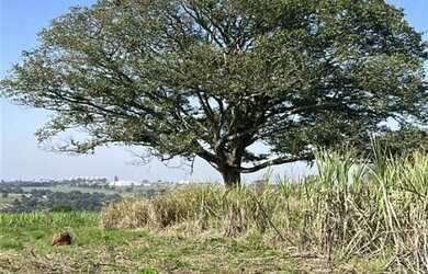 Imagem 2: Terreno em Tatui à Venda - 650m² - R$ 90.000 - Aceita Carro na Negociação