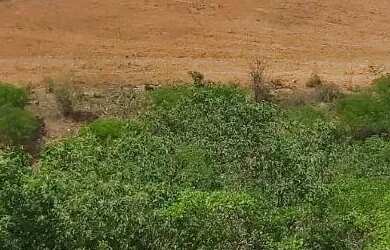 Imagem 3: Sítio localizado no Municípo Sítio do Quinto/BA