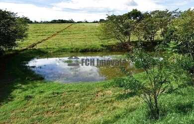 Imagem 15: Haras Rural no Gramadinho em Porto Feliz