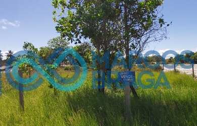 Imagem 6: TERRENO NA PRAIA DO MUTÁ - PORTO SEGURO - 1.046m²