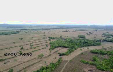 Imagem 11: Fazenda no Município do Peixe-Tocantins, toda formada em pastagem, com...