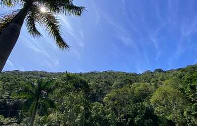 Imagem: O terreno possui 20000m² de Área e está localizado em Itaipava