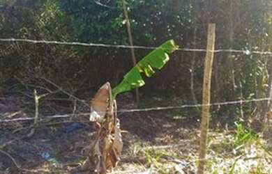 Imagem 3: Terreno à venda, 1000 m² por R$ 320.000,00 - Marina - Armação dos...