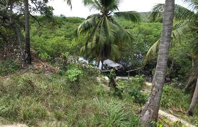 Imagem 2: 160 HECTARES EM CARNEIROS