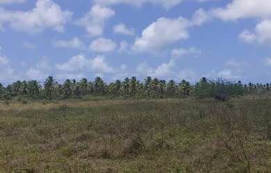 Imagem 13: Fazenda em Manimbu Tibau do Sul - Tibau do Sul