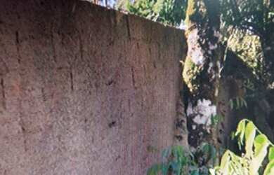 Imagem: O terreno possui 400m² de Área e está localizado em Borda