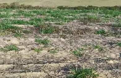 Imagem: O terreno possui 500m² de Área e está localizado em Alvinópolis