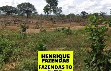 Imagem 5: Fazenda de 274 alqueires plana a 55 mil por alqueires no Tocantins