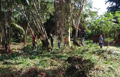 Imagem: O terreno está localizado em Acará, PA à venda por R$12.000