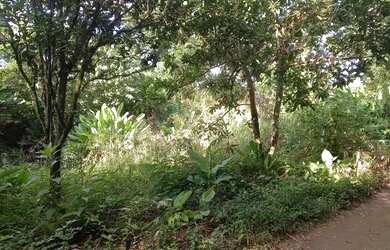 Imagem: O terreno possui 44m² de Área e está localizado em Centro