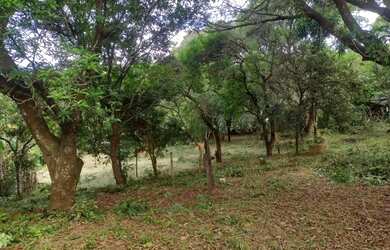 Imagem: A fazenda possui 55.000m² de Área e está localizado em Taquaraçu